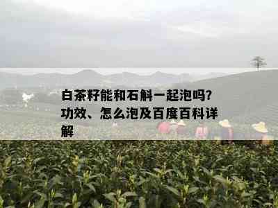 白茶籽能和石斛一起泡吗？功效、怎么泡及百度百科详解