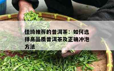 佳琦推荐的普洱茶：如何选择高品质普洱茶及正确冲泡方法