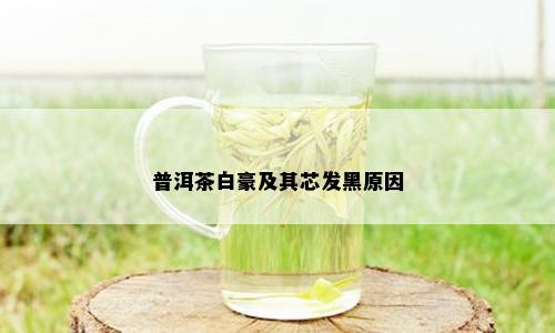 普洱茶白豪及其芯发黑原因