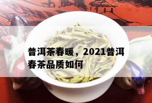 普洱茶春暖，2021普洱春茶品质如何