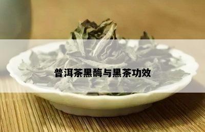 普洱茶黑酶与黑茶功效