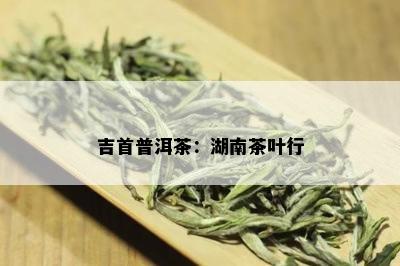 吉首普洱茶：湖南茶叶行