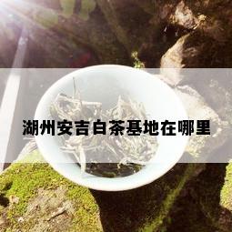 湖州安吉白茶基地在哪里