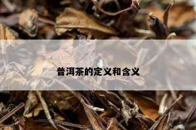 普洱茶的定义和含义