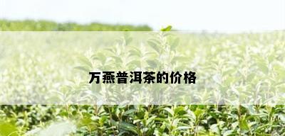 万燕普洱茶的价格