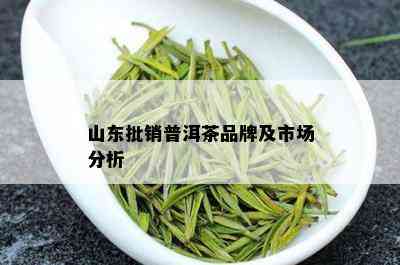 山东批销普洱茶品牌及市场分析