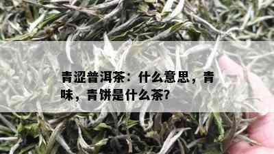 青涩普洱茶：什么意思，青味，青饼是什么茶？