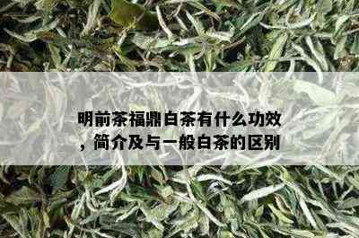 明前茶福鼎白茶有什么功效，简介及与一般白茶的区别