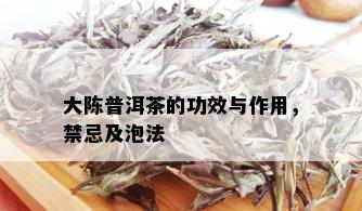 大陈普洱茶的功效与作用，禁忌及泡法