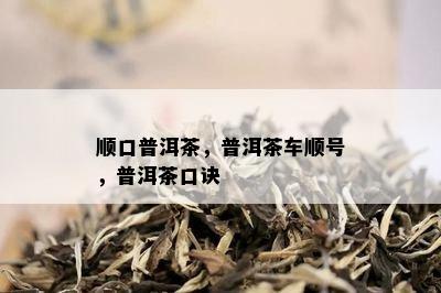 顺口普洱茶，普洱茶车顺号，普洱茶口诀