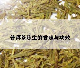 普洱茶陈生的香味与功效