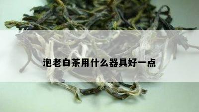 泡老白茶用什么器具好一点