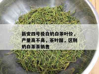 新安四号极白奶白茶叶价，产量高不高，茶叶图，区别奶白茶茶销售