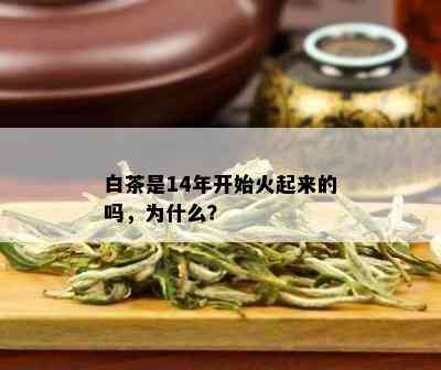 白茶是14年开始火起来的吗，为什么？