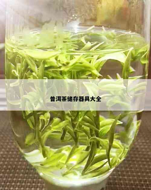 普洱茶储存器具大全