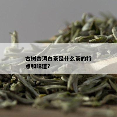 古树普洱白茶是什么茶的特点和味道？