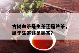 古树白茶是生茶还是熟茶，属于生茶还是熟茶？