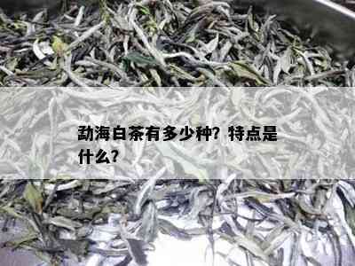 勐海白茶有多少种？特点是什么？