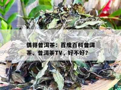 偶得普洱茶：百度百科普洱茶、普洱茶TV，好不好?