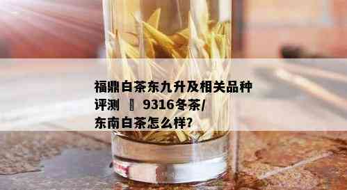 福鼎白茶东九升及相关品种评测 – 9316冬茶/东南白茶怎么样？