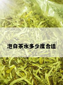 泡白茶水多少度合适