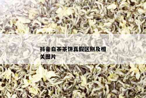 抖音白茶茶饼真假区别及相关图片