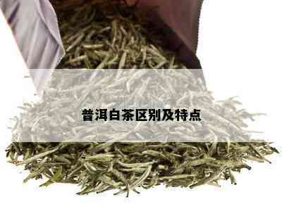 普洱白茶区别及特点