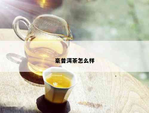 豪普洱茶怎么样