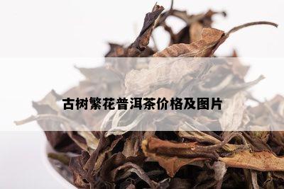 古树繁花普洱茶价格及图片