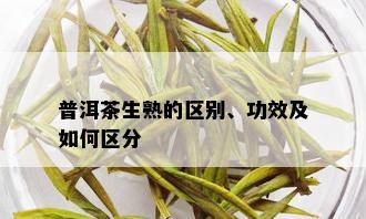 普洱茶生熟的区别、功效及如何区分