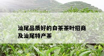 汕尾品质好的白茶茶叶招商及汕尾特产茶