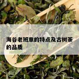 海谷老班章的特点及古树茶的品质