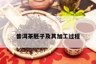 普洱茶胚子及其加工过程