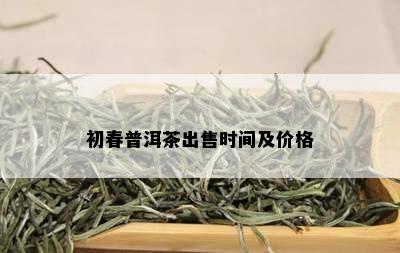 初春普洱茶出售时间及价格