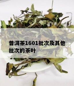 普洱茶1601批次及其他批次的茶叶