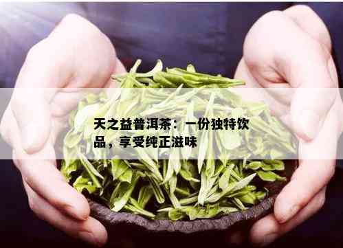 天之益普洱茶：一份独特饮品，享受纯正滋味