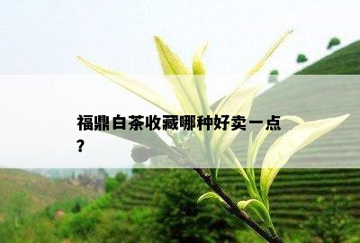 福鼎白茶收藏哪种好卖一点？