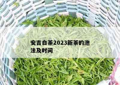 安吉白茶2023新茶的泡法及时间