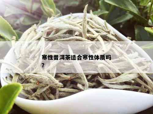 寒性普洱茶适合寒性体质吗？