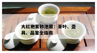 大红袍紫砂泡眉：茶叶、壶具、品鉴全指南