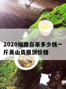 2020福鼎白茶多少钱一斤高山贡眉饼价格