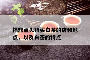 福鼎点头镇买白茶的店和地点，以及白茶的特点