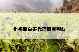 州福鼎白茶代理商有哪些