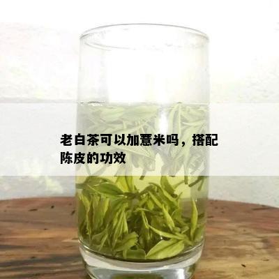 老白茶可以加薏米吗，搭配陈皮的功效