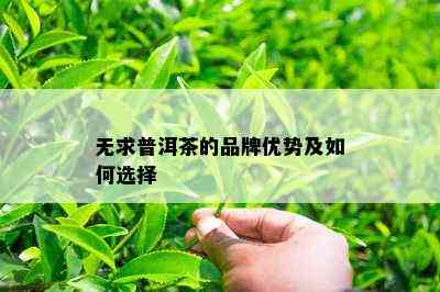 无求普洱茶的品牌优势及如何选择