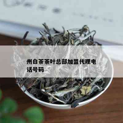 州白茶茶叶总部加盟代理电话号码