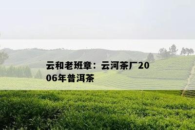 云和老班章：云河茶厂2006年普洱茶