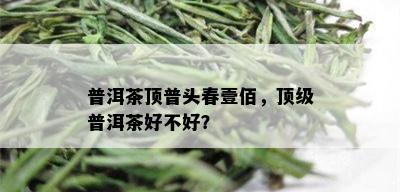 普洱茶顶普头春壹佰，顶级普洱茶好不好？