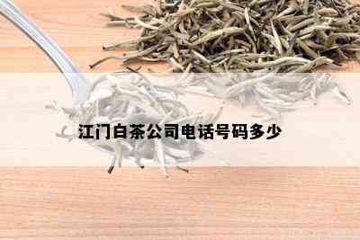 江门白茶公司电话号码多少