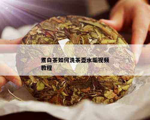 煮白茶如何洗茶壶水垢视频教程